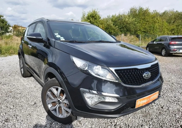 Kia Sportage cena 47900 przebieg: 191000, rok produkcji 2014 z Częstochowa małe 436